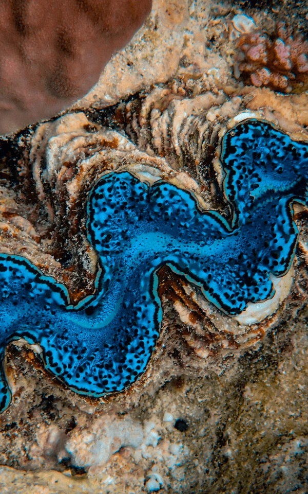 Your Guide to Using AI in Email Marketing